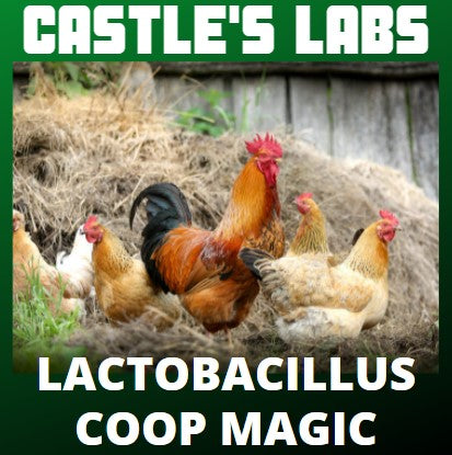 Castle's Labs - Coop Magic