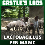 Castle's Labs -  Pen Magic