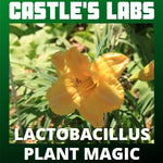 Castle's Labs - Plant Magic